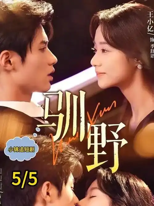 无声证词短剧封面